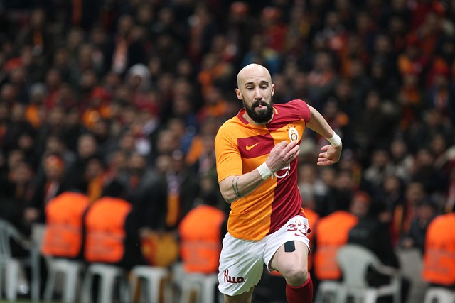 我们看到了 我们看到了