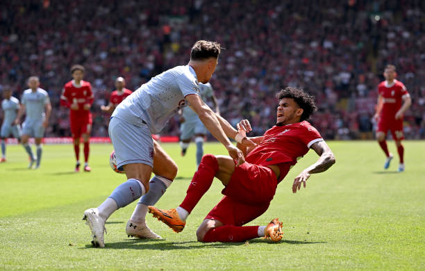 坛的常青树 坛的常青树