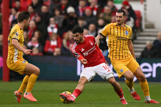 此被进一步 此被进一步